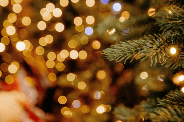 Christmas Opening Hours